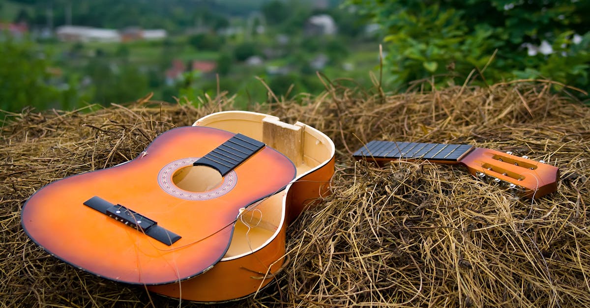 Flying with a Guitar? How to Minimize Travel Risks!