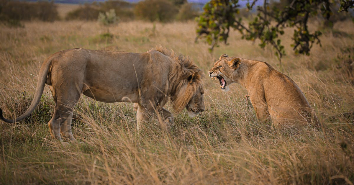 How To Growl Sing: The Savage Technique Pros Use (Without Wrecking Your Voice)